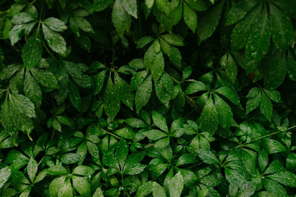 Hello World Featured Image